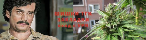 твердый Богданович