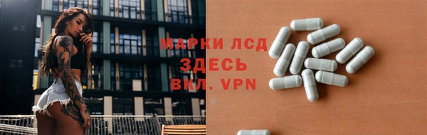 твердый Богданович
