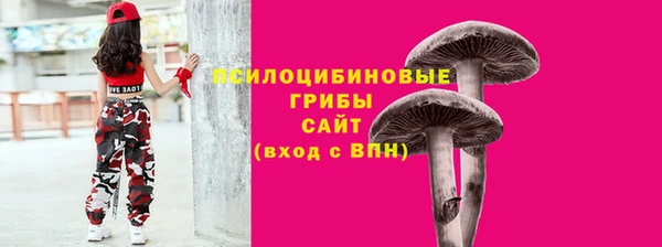 твердый Богданович