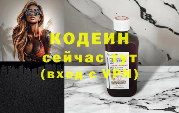 твердый Богданович