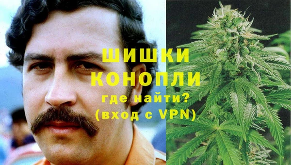 твердый Богданович