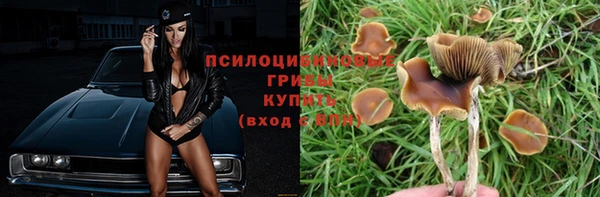сатива Богородск